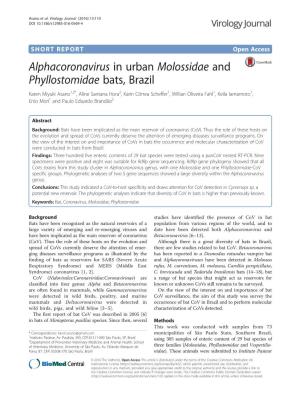 Alphacoronavirus in Urban Molossidae and Phyllostomidae Bats, Brazil