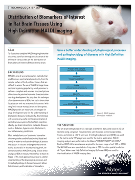 Distribution of Biomarkers of Interest in Rat Brain Tissues Using High Definition MALDI Imaging