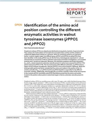 Identification of the Amino Acid Position Controlling the Different