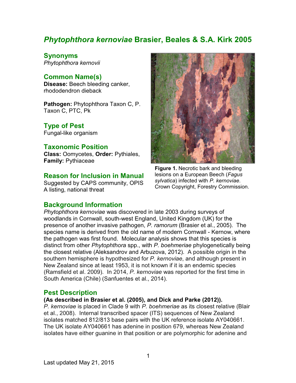 Phytophthora Kernoviae Brasier, Beales & S.A. Kirk 2005