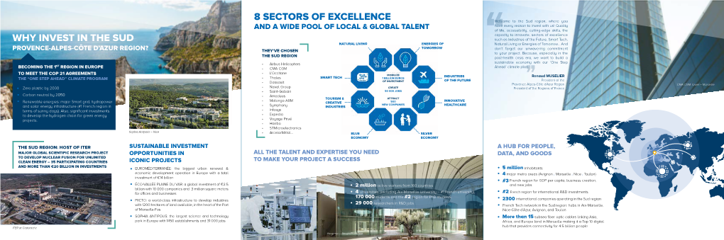 Why Invest in the Sud 8 Sectors of Excellence