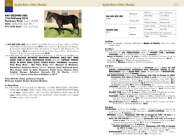 LOT 4 Big Bad Bob Ex Kitoko (Montjeu) Big Bad Bob Ex Kitoko (Montjeu) LOT 4