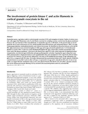 The Involvement of Protein Kinase C and Actin Filaments in Cortical