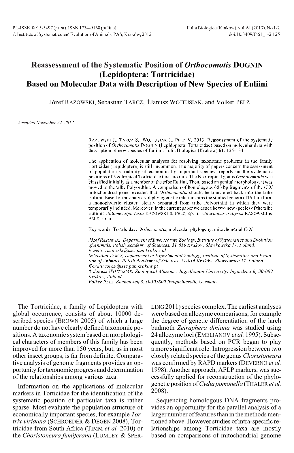 Reassessment of the Systematic Position of &lt;I&gt;Orthocomotis&lt;/I