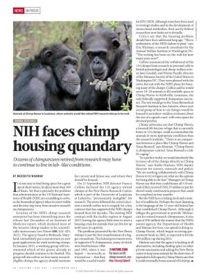 NIH Faces Chimp Housing Quandary