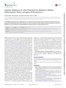 Genome Sequences of a Rat Polyomavirus Related to Murine Polyomavirus, Rattus Norvegicus Polyomavirus 1 Downloaded From