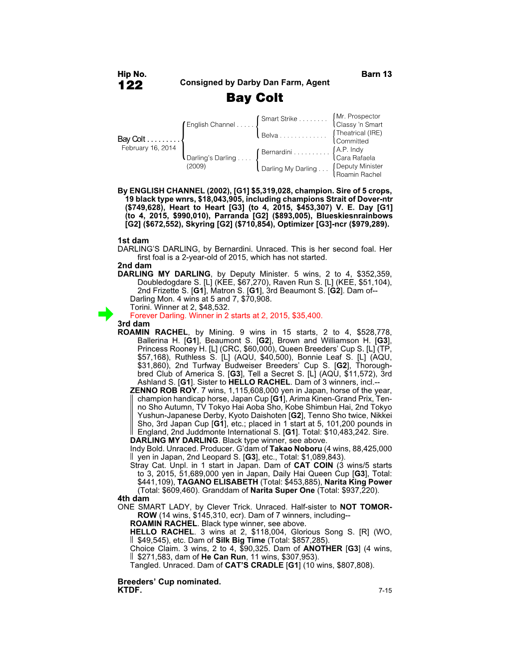 122 Consigned by Darby Dan Farm, Agent Bay Colt