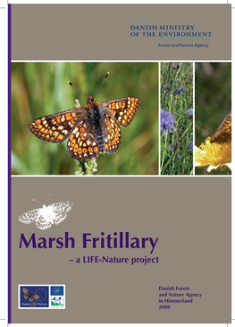 Marsh Fritillary – a LIFE-Nature Project