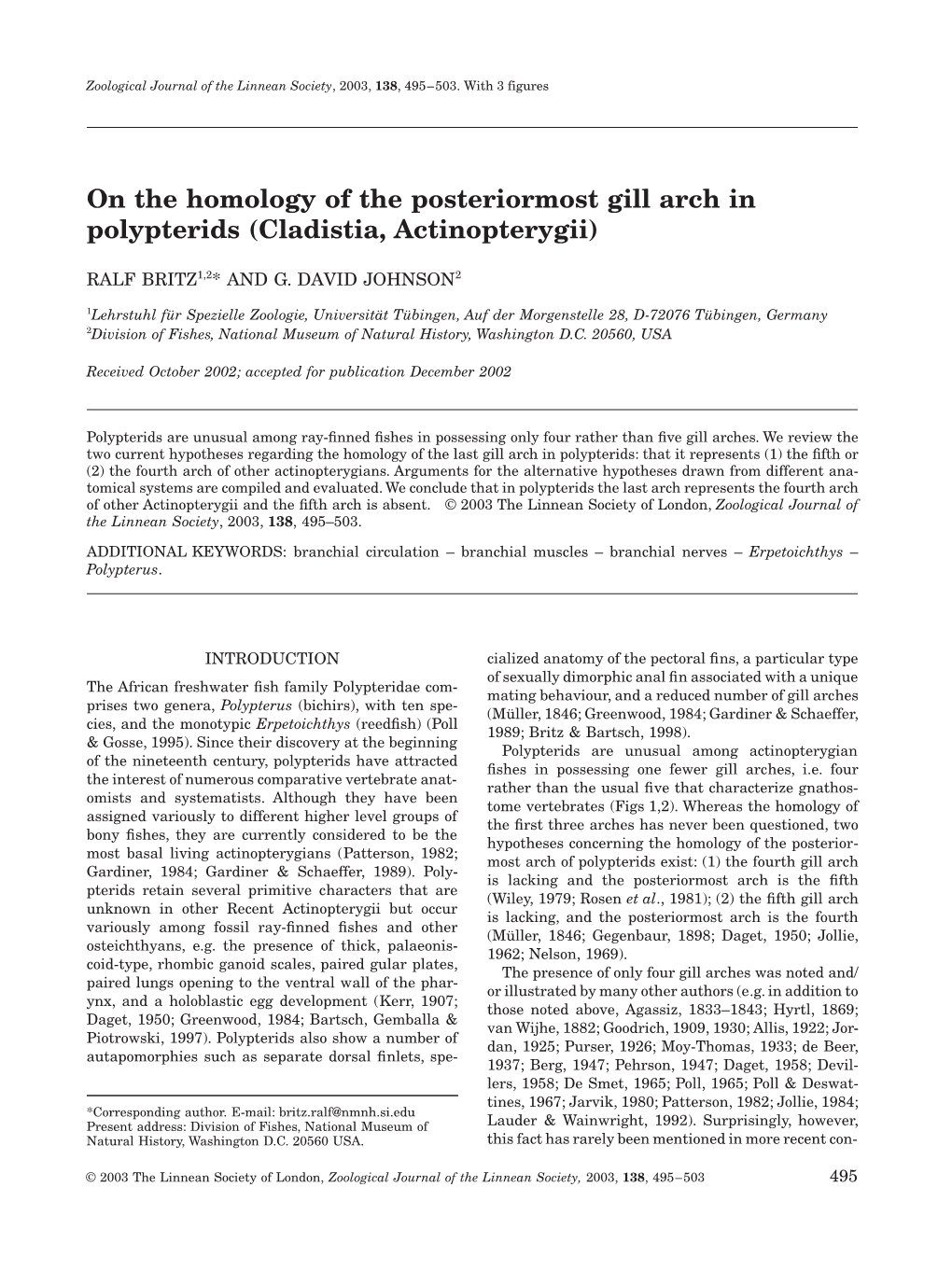 On the Homology of the Posteriormost Gill Arch in Polypterids (Cladistia, Actinopterygii)