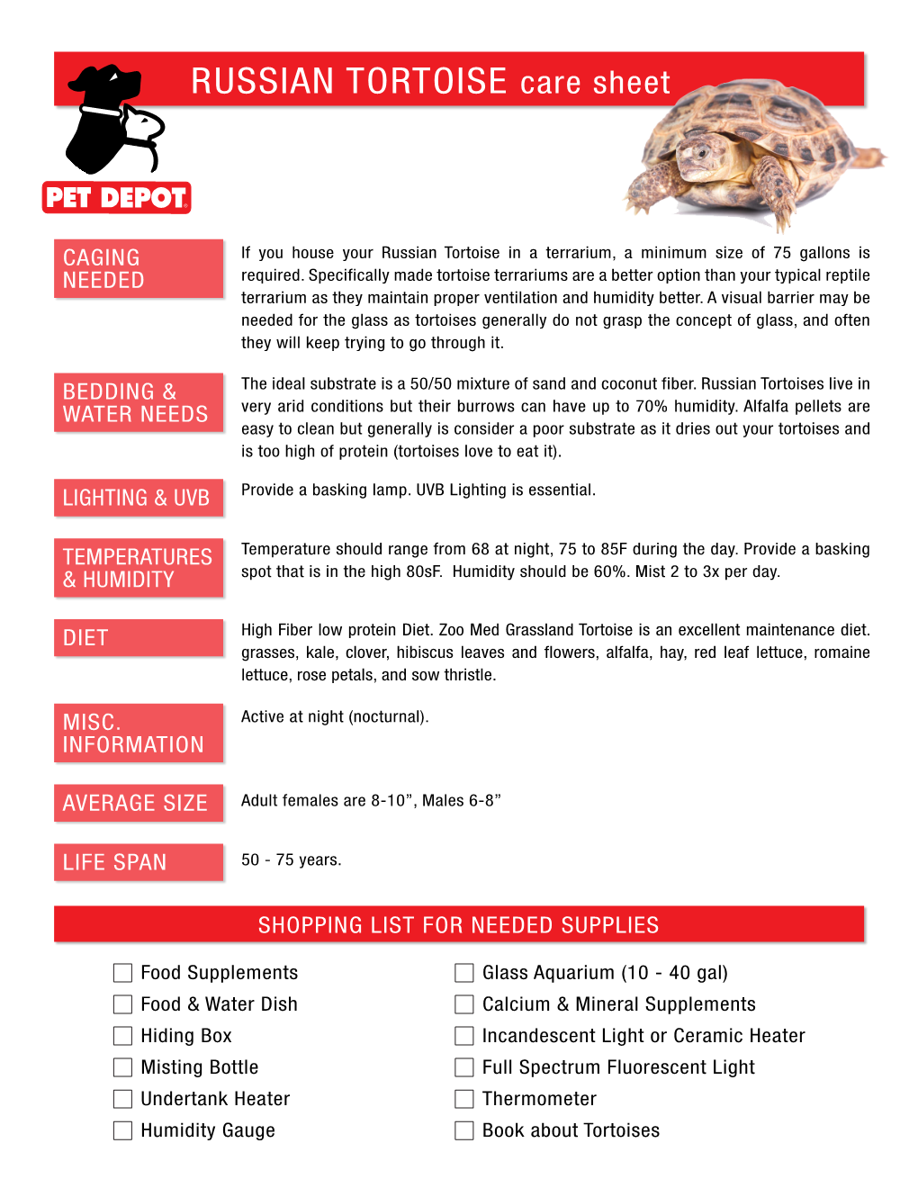 RUSSIAN TORTOISE Care Sheet