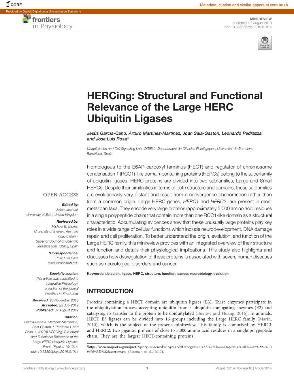 Structural and Functional Relevance of the Large HERC Ubiquitin Ligases