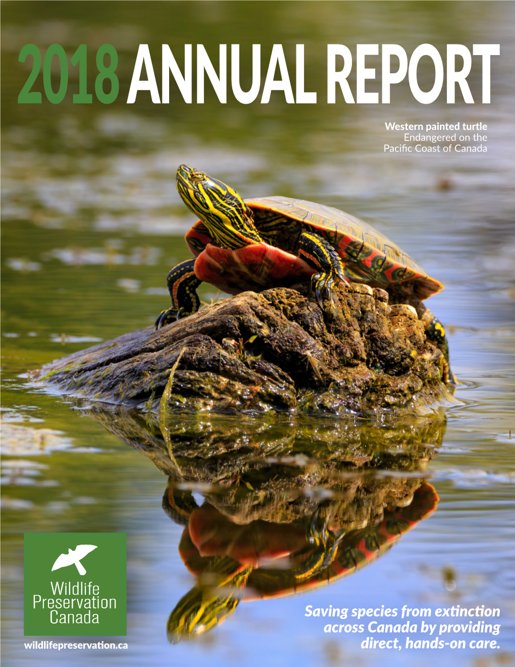 Annual Report 2018