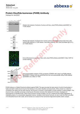 (P4HB) Antibody Catalogue No.:Abx000827