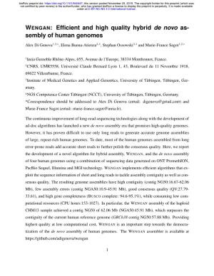 Efficient and High Quality Hybrid De Novo Assembly of Human Genomes