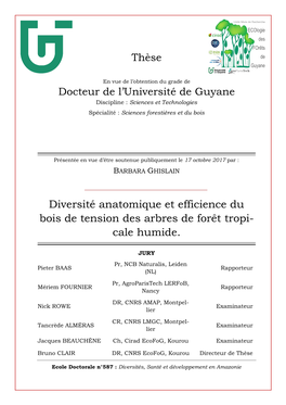 Titre Du Document