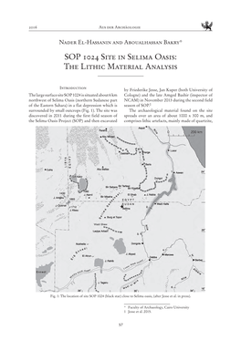 SOP 1024 Site in Selima Oasis: the Lithic Material Analysis