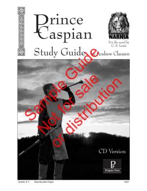 A Sample Section of the Prince Caspian Study Guide!