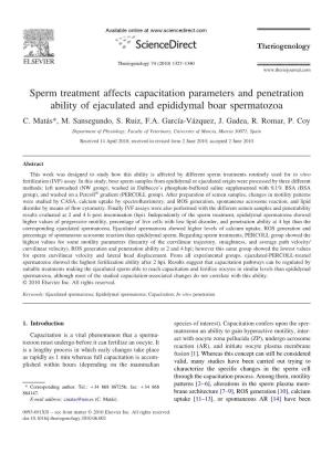 Sperm Treatment Affects Capacitation Parameters and Penetration Ability of Ejaculated and Epididymal Boar Spermatozoa C