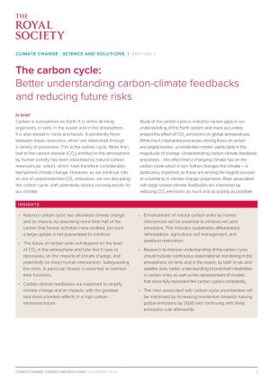 Better Understanding Carbon-Climate Feedbacks and Reducing Future Risks