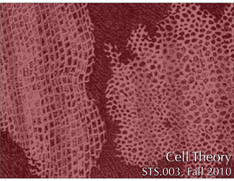 Cell Theory STS.003, Fall 2010 Unit 4: Body A