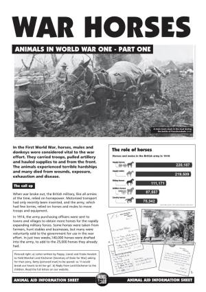 Animals in World War One - Part One