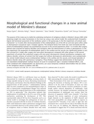 Morphological and Functional Changes in a New Animal Model Of