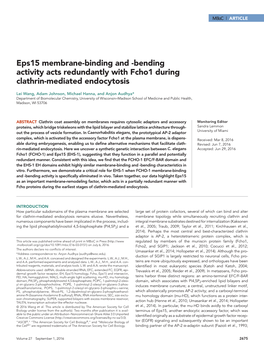 Bending Activity Acts Redundantly with Fcho1 During Clathrin-Mediated Endocytosis