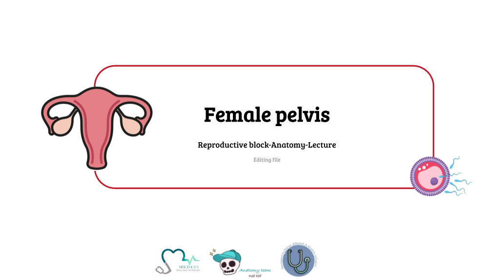 Female Pelvis