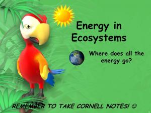 NOTES Energy in Ecosystems.Pdf