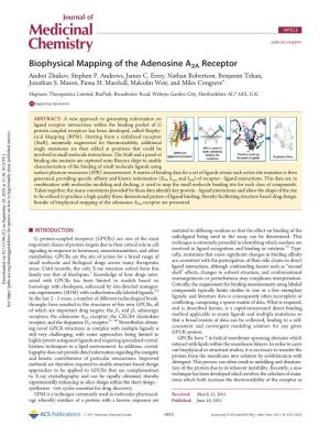 Biophysical Mapping of the Adenosine A2A Receptor Andrei Zhukov, Stephen P