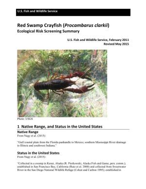 Procambarus Clarkii) Ecological Risk Screening Summary