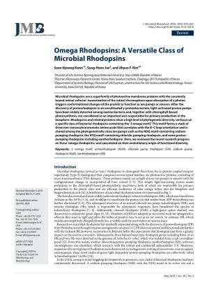 A Versatile Class of Microbial Rhodopsins