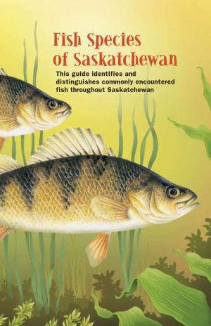 Fish Species of Saskatchewan