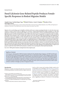 Dural Calcitonin Gene-Related Peptide Produces Female- Specific Responses in Rodent Migraine Models