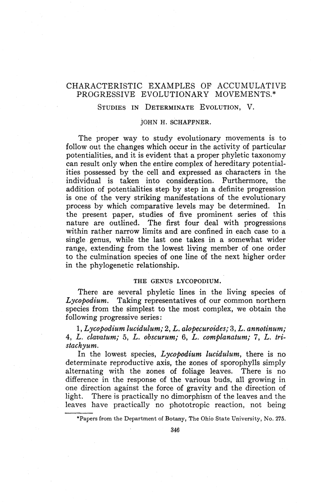 Characteristic Examples of Accumulative Progressive Evolutionary Movements : Studies in Determinate Evolution, V