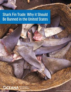 Shark Fin Trade: Why It Should Be Banned in the United States