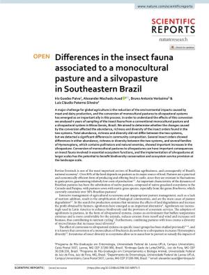 Differences in the Insect Fauna Associated to a Monocultural Pasture and a Silvopasture in Southeastern Brazil