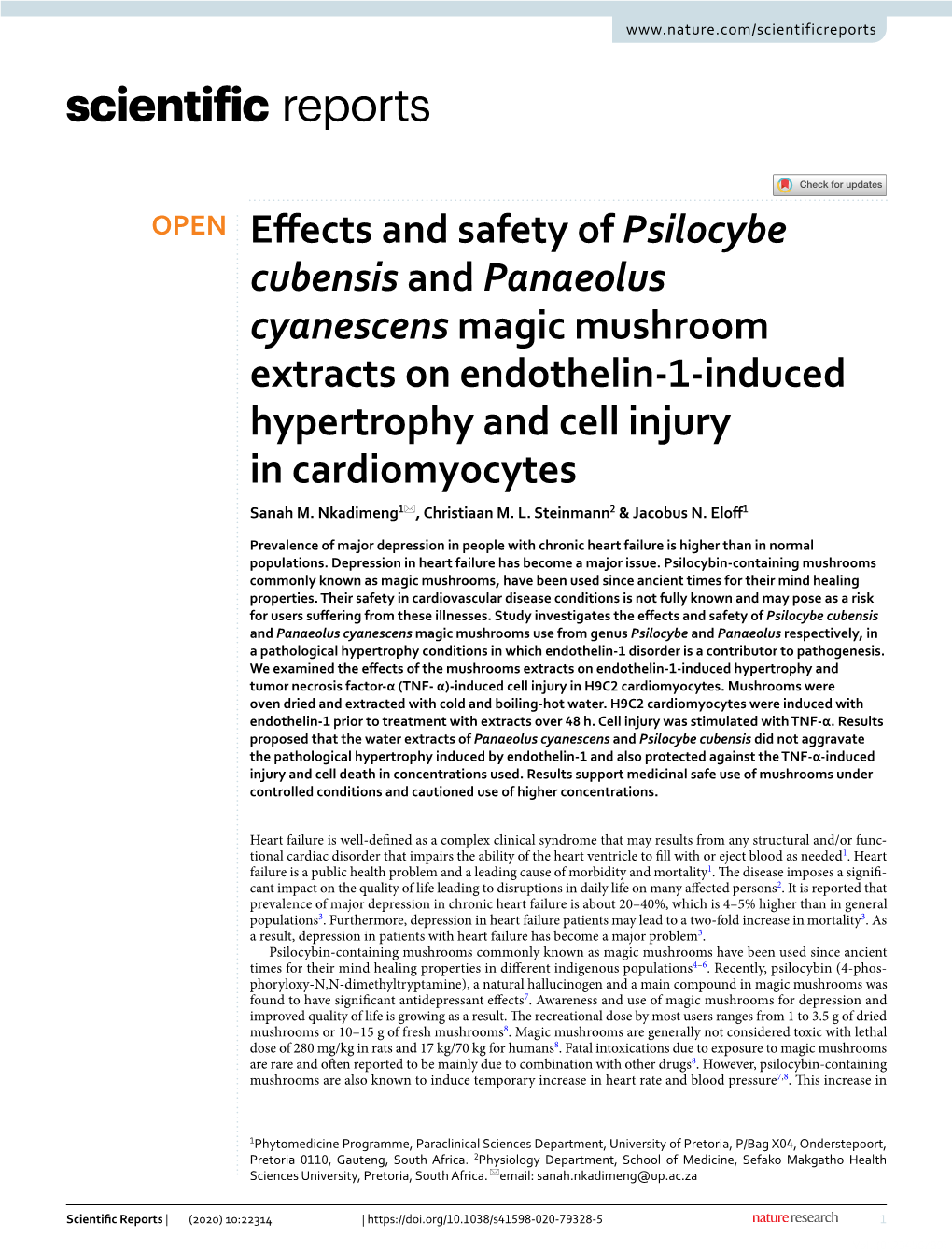 Effects and Safety of Psilocybe Cubensis and Panaeolus