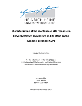 Characterization of the Spontaneous SOS Response in Corynebacterium Glutamicum and Its Effect on the Lysogenic Prophage CGP3