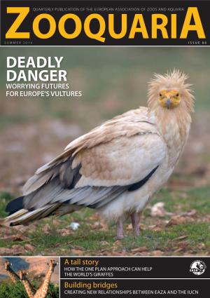 Deadly Danger Worrying Futures for Europe’S Vultures