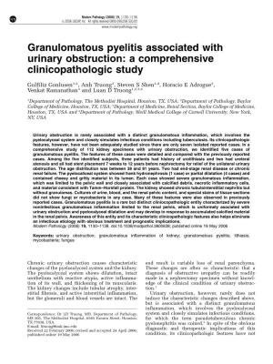 Granulomatous Pyelitis Associated with Urinary Obstruction: a Comprehensive Clinicopathologic Study