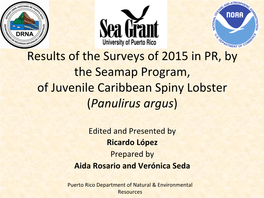 Spiny Lobster Survey Results 2015