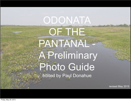 ODONATA of the PANTANAL - a Preliminary Photo Guide Edited by Paul Donahue
