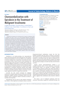 Chemoembolization with Epirubicin in the Treatment of Malignant Insu- Linoma