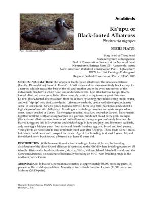 Ka'upu Or Black-Footed Albatross