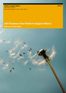 Platform Support Matrix for SAP Business