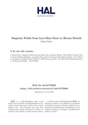 Magnetic Fields from Low-Mass Stars to Brown Dwarfs Julien Morin