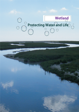 Chapter 4 Wetlands – Protecting Water and Life