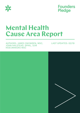 Mental Health Cause Area Report