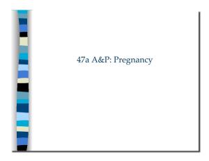 47A A&P: Pregnancy